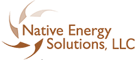 NES_Logo_EMEco_copy_200.png